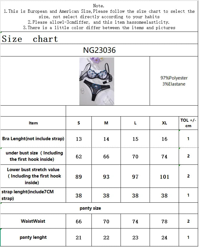 Embroidery Sexy Lingerie Set Hot Semi-Sheer Floral Bra And Panties Sets Fancy Lovely Underwear Set for Sleeping