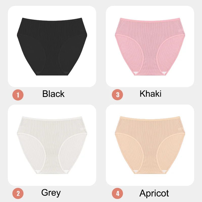 4Pcs/Set Women Lace Mesh Briefs Sexy Comfortable Stretchy Semi Sheer French-Cut Panties Women's Underwear Breathable Lingerie