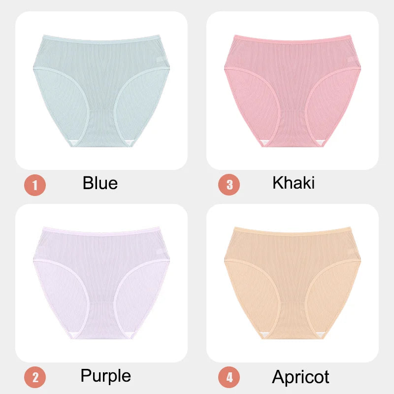 4Pcs/Set Women Lace Mesh Briefs Sexy Comfortable Stretchy Semi Sheer French-Cut Panties Women's Underwear Breathable Lingerie